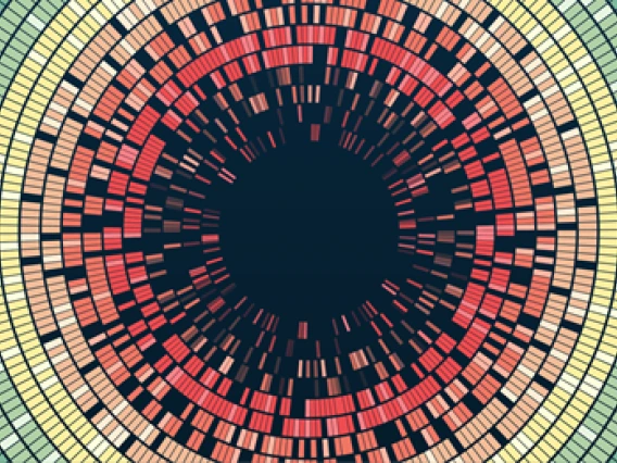 Data Science Tile